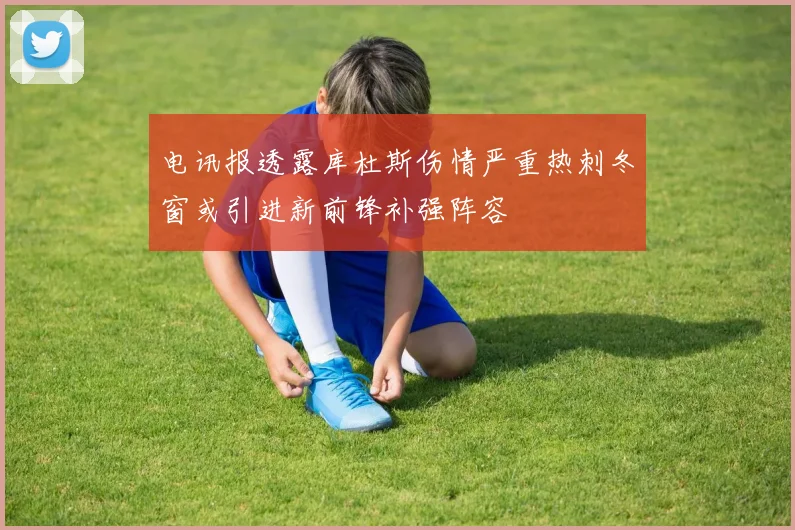 电讯报透露库杜斯伤情严重热刺冬窗或引进新前锋补强阵容