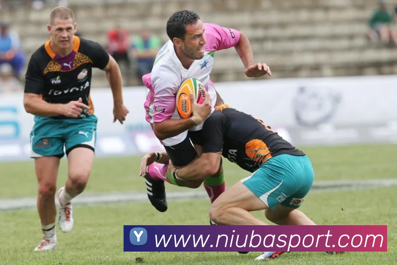 牛八体育发展历程